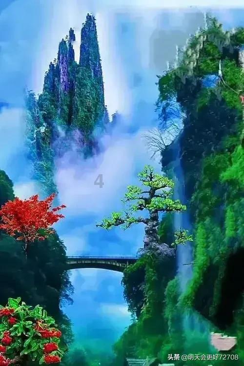小熊救援