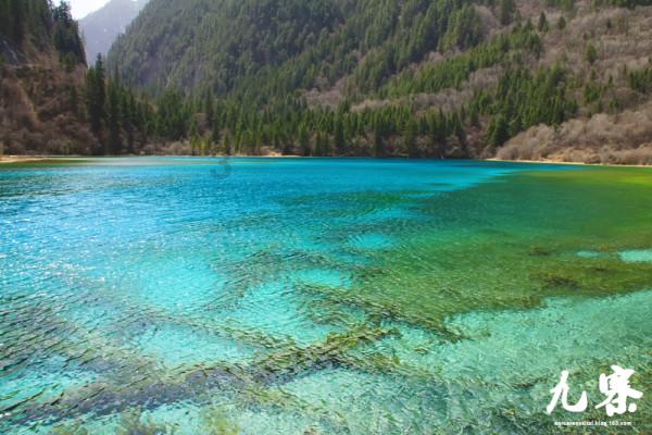 测试你的桃花运