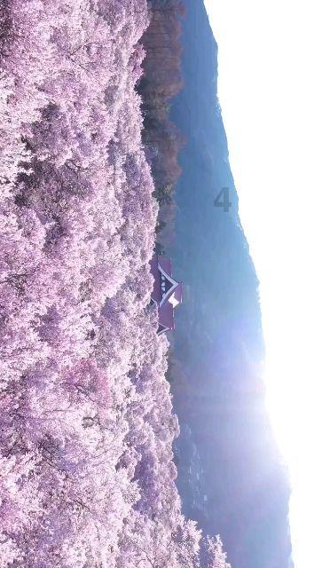 时尚女孩大采购