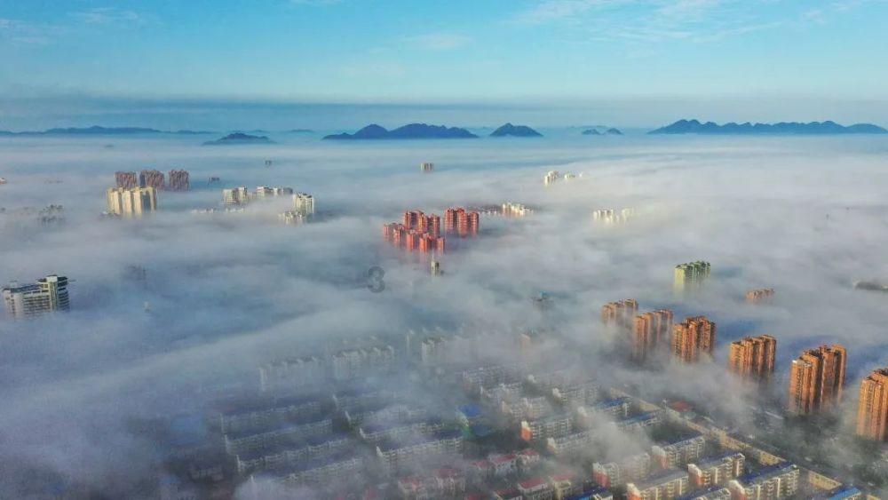 美晨生态:预计2023年度净利润亏损11.5亿元~14.5亿