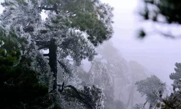 战锤：全面战争