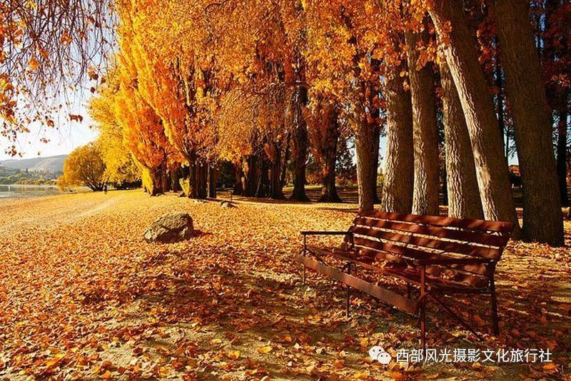召唤神龙万宁版祖龙