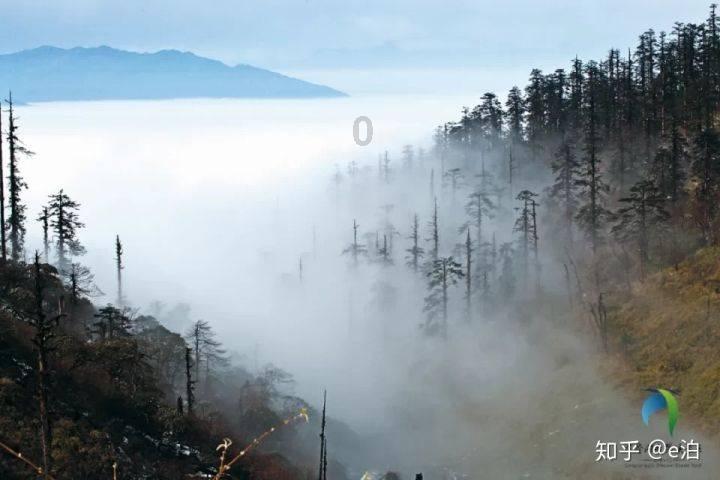 牙齿美白有哪些妙招吗？