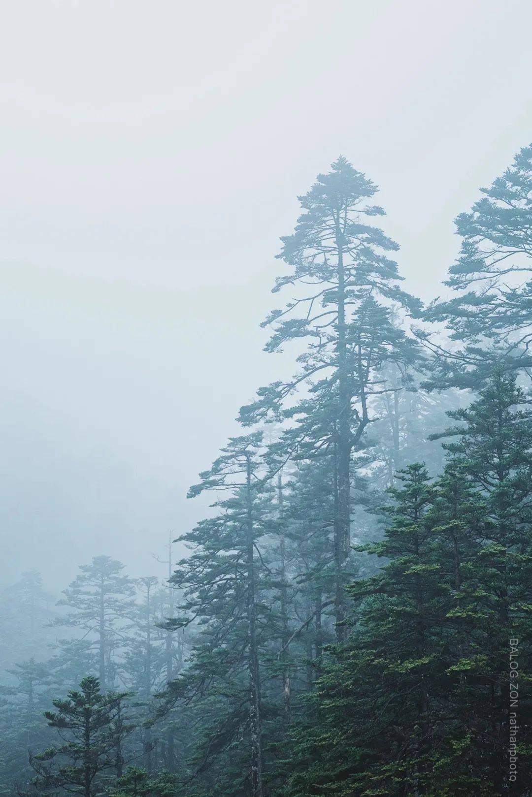 个人汽车买保险好开公司发票吗?-机智问答网页
