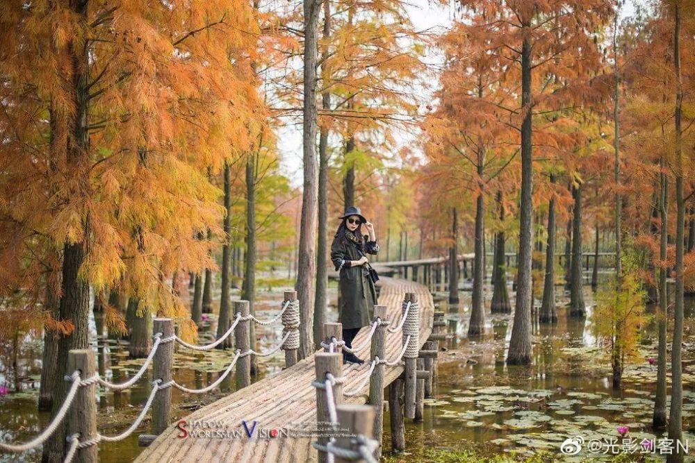 太甜了！宋茜出演隐形富婆，与初恋巅峰相见
