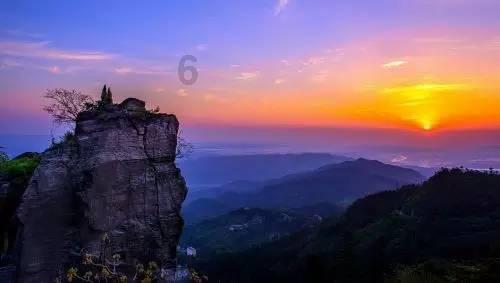 爱问答,尽在应不应该给猫买猫窝?