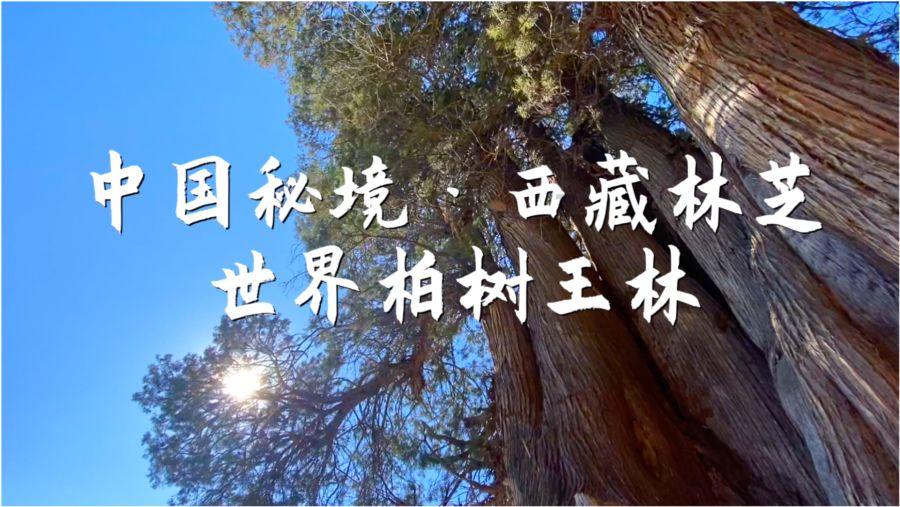 【周知】大寒至，待春归！