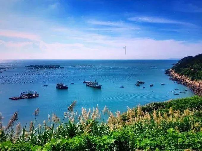 瑞德的冒险之旅中文版