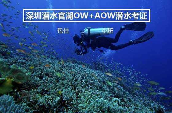 格斗巅峰大作战1.1