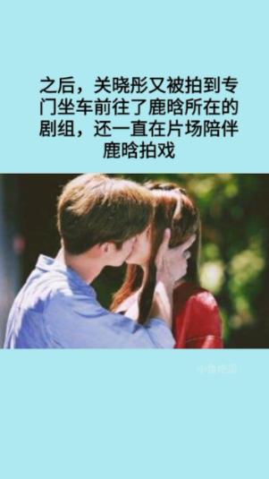 植物大战僵尸17