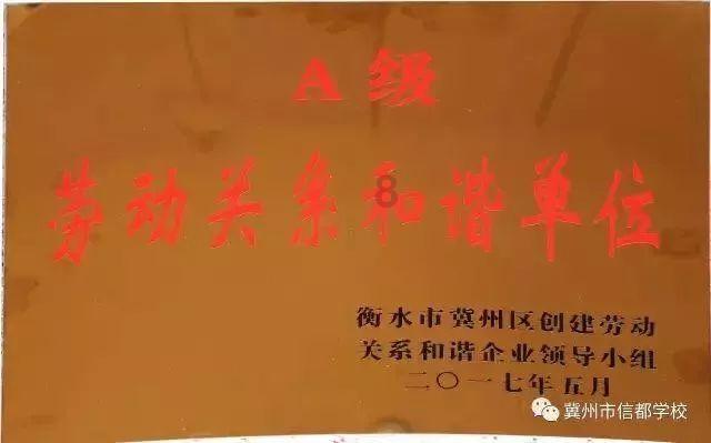 消息层面扰动，市场分化明显