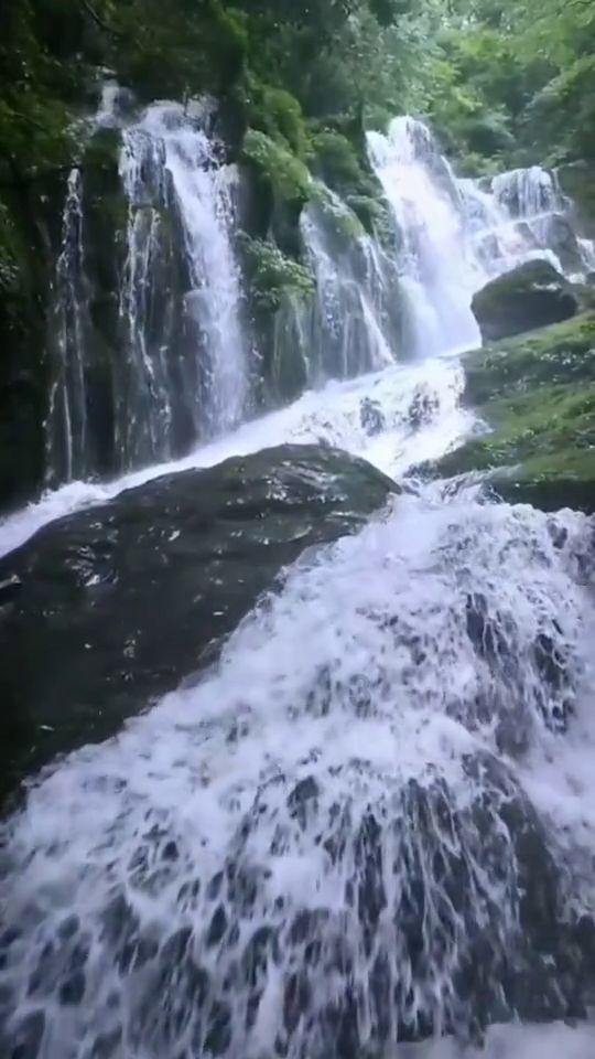 月光影视