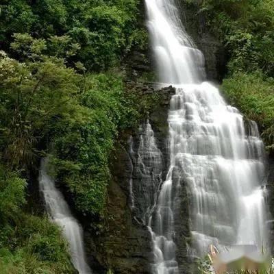 逗小猴开心系列205
