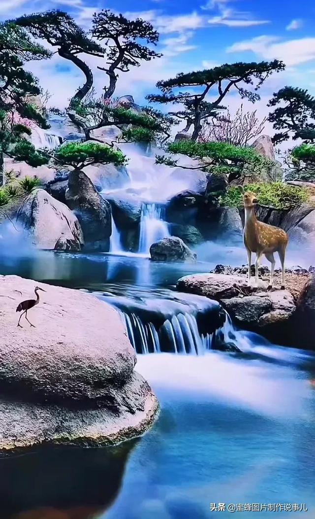 公子是女生