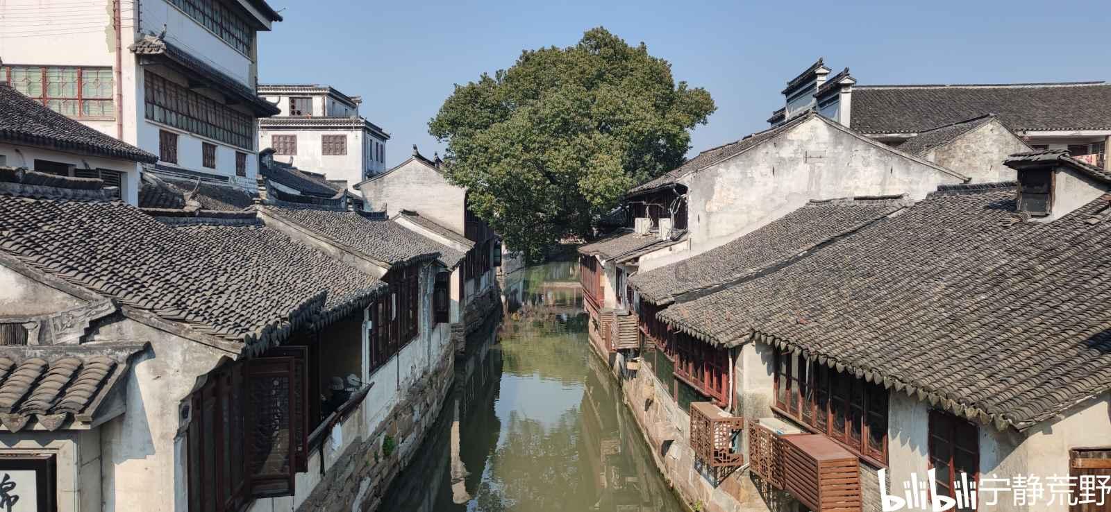 别廷芳：看粗不粗，粗中有细；看傻不傻，傻中透能