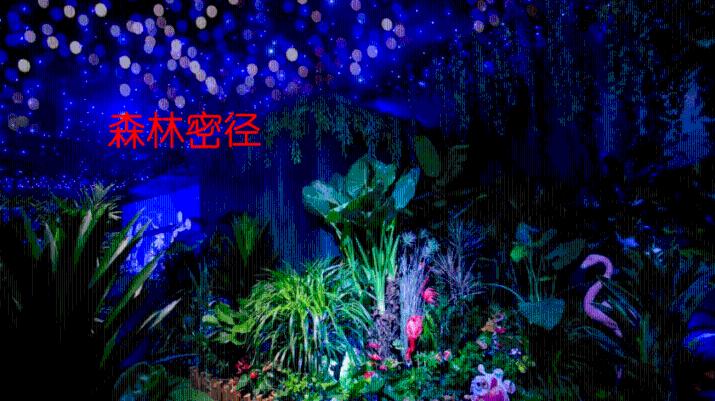 河南省登封市发布暴雪蓝色预警